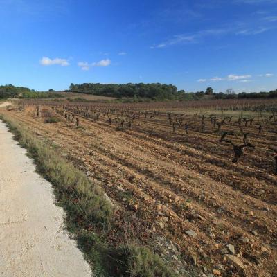 Randonne En Occitanie Labbaye De Fontcaude Cazedarnes 14