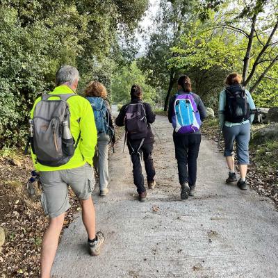 Occitanie Rando Trekking Saint Martin De Larcon Roc Caroux Aiguilles Viallat 01