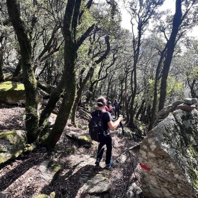 Occitanie Rando Trekking Saint Martin De Larcon Roc Caroux Aiguilles Viallat 155