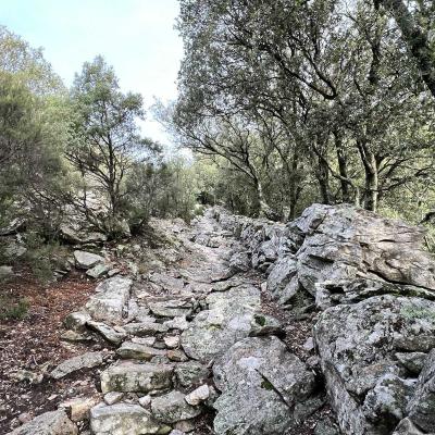 Occitanie Rando Trekking Saint Martin De Larcon Roc Caroux Aiguilles Viallat 19