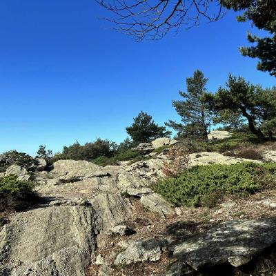 Occitanie Rando Trekking Saint Martin De Larcon Roc Caroux Aiguilles Viallat 83