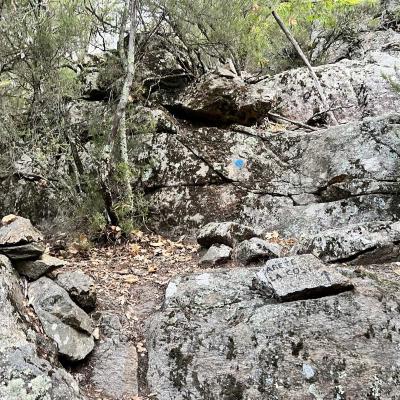 Reco Trekking Arrete Lacoste Piste Des Aiguilles 38