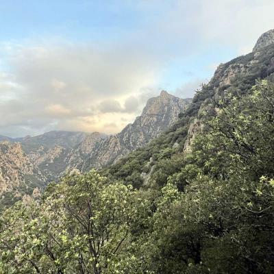 Reco Trekking Arrete Lacoste Piste Des Aiguilles 54