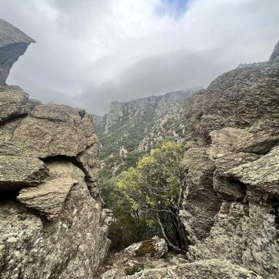 Reco Trekking Arrete Lacoste Piste Des Aiguilles 79