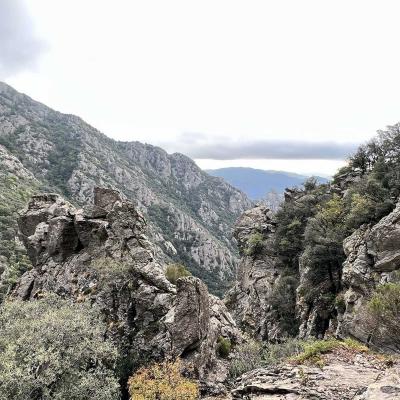 Reco Trekking Arrete Lacoste Piste Des Aiguilles 98