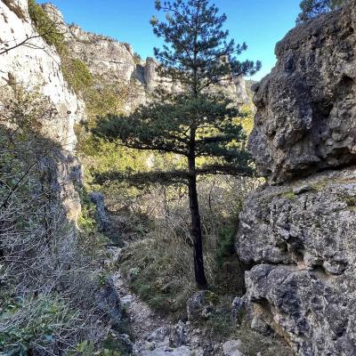 Occitanie Rando Randonnee Herault Falaises De Escalette Pegairolles 103