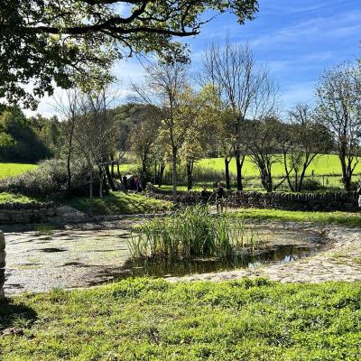 Occitanie Rando Randonnee Herault Falaises De Escalette Pegairolles 52