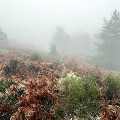 Occitanie Rando Trekking Tour Haut Languedoc Caroux 108