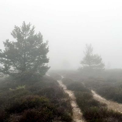 Occitanie Rando Trekking Tour Haut Languedoc Caroux 129