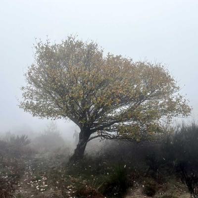 Occitanie Rando Trekking Tour Haut Languedoc Caroux 133