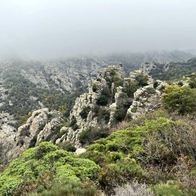 Occitanie Rando Trekking Tour Haut Languedoc Caroux 147