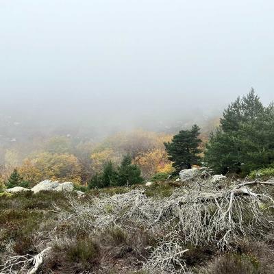 Occitanie Rando Trekking Tour Haut Languedoc Caroux 110