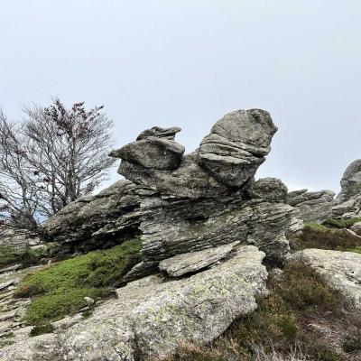 Occitanie Rando Trekking Tour Haut Languedoc Caroux 111