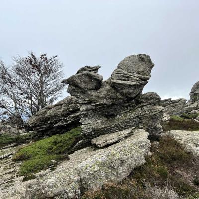 Occitanie Rando Trekking Tour Haut Languedoc Caroux 112
