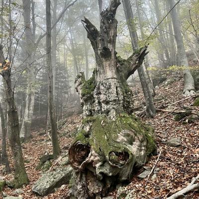 Occitanie Rando Trekking Tour Haut Languedoc Caroux 73