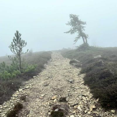 Occitanie Rando Trekking Tour Haut Languedoc Caroux 88