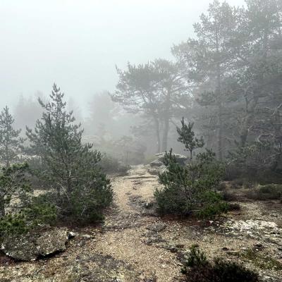 Occitanie Rando Trekking Tour Haut Languedoc Caroux 99