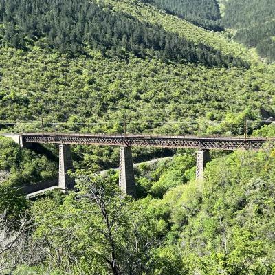 Occitanie Rando Herault Haut Languedoc Grp Entre Deux Lacs Avene Salagou 3 Jours 235