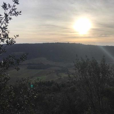 Occitanie Rando Rando Herault Cabrieres Pic Vissou 05
