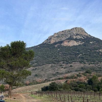 Occitanie Rando Rando Herault Cabrieres Pic Vissou 13