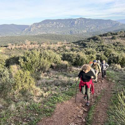 Occitanie Rando Rando Herault Cabrieres Pic Vissou 15