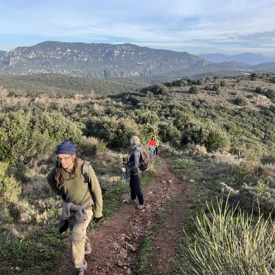 Occitanie Rando Rando Herault Cabrieres Pic Vissou 16