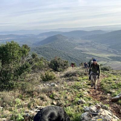 Occitanie Rando Rando Herault Cabrieres Pic Vissou 21
