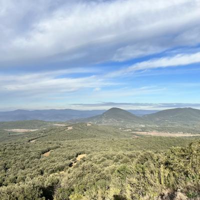 Occitanie Rando Rando Herault Cabrieres Pic Vissou 31