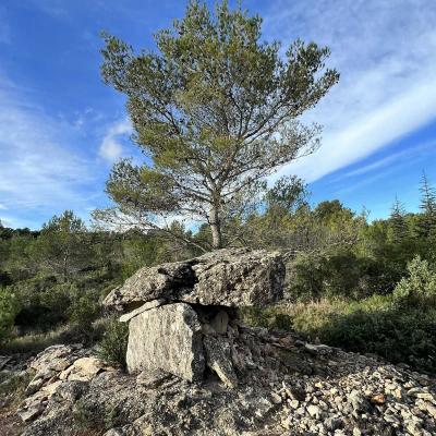 Occitanie Rando Rando Saint Chinian Haut Languedoc 11