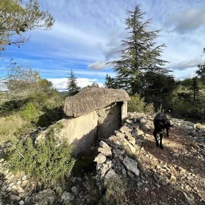 Occitanie Rando Rando Saint Chinian Haut Languedoc 14