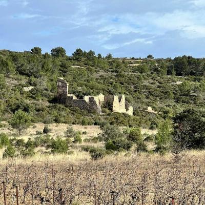 Occitanie Rando Rando Saint Chinian Haut Languedoc 16