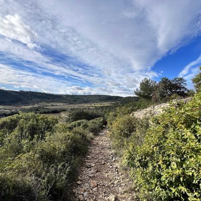 Occitanie Rando Rando Saint Chinian Haut Languedoc 19