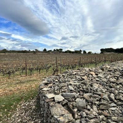 Occitanie Rando Rando Saint Chinian Haut Languedoc 22