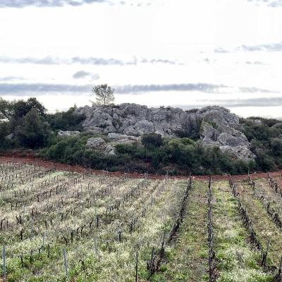 Occitanie Rando Rando Saint Chinian Haut Languedoc 37