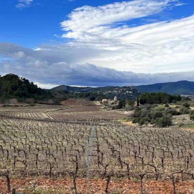 Occitanie Rando Rando Saint Chinian Haut Languedoc 38