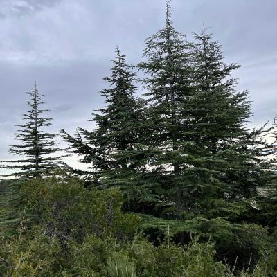 Occitanie Rando Rando Saint Chinian Haut Languedoc 48