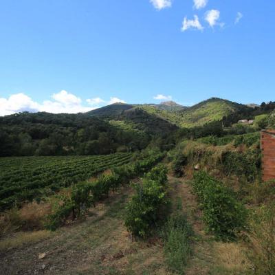 Occitanie Rando Rando Herault Les Horts Olargues Le Vieux Castrum 02