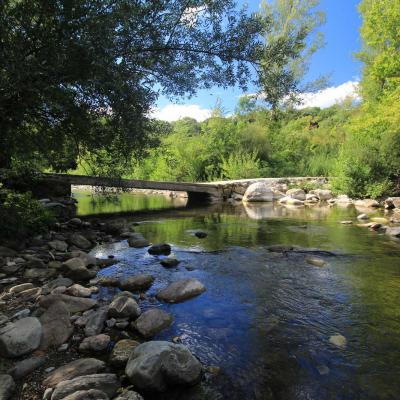 Occitanie Rando Rando Herault Les Horts Olargues Le Vieux Castrum 04