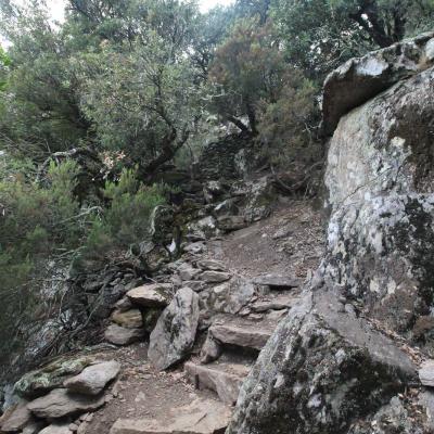 Occitanie Rando Rando Herault Les Horts Olargues Le Vieux Castrum 08