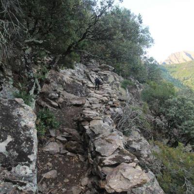 Occitanie Rando Rando Herault Les Horts Olargues Le Vieux Castrum 09