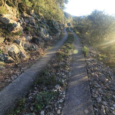 Occitanie Rando Rando Herault Les Horts Olargues Le Vieux Castrum 18