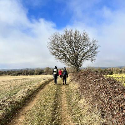 Occitanie Rando St Felix Heras Lergue Larzac Caylar Herault 18