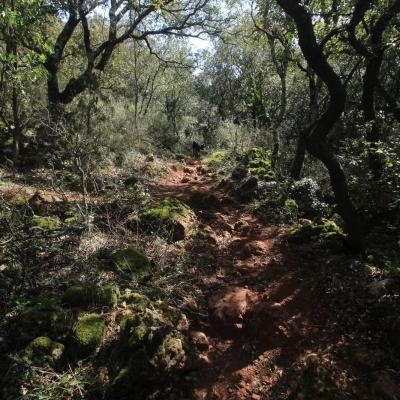Occitanie Rando Bedarieux Balcons Orb 06