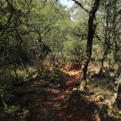 Occitanie Rando Bedarieux Balcons Orb 07