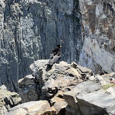 Occitanie Rando Randonnee Itinerante Tour Du Canigou Et Vallespir 156