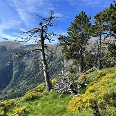 Occitanie Rando Randonnee Itinerante Tour Du Canigou Et Vallespir 190
