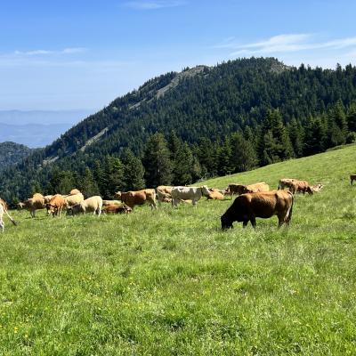 Occitanie Rando Randonnee Itinerante Tour Du Canigou Et Vallespir 196