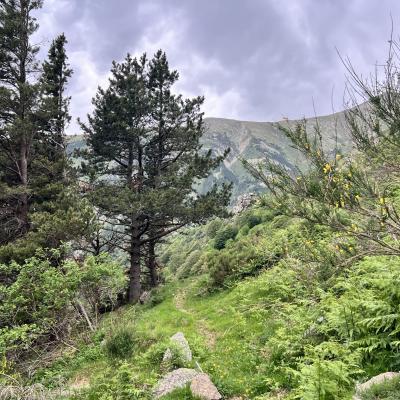 Occitanie Rando Randonnee Itinerante Tour Du Canigou Et Vallespir 224