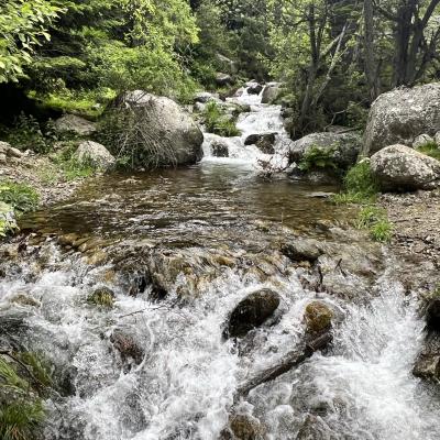 Occitanie Rando Randonnee Itinerante Tour Du Canigou Et Vallespir 233