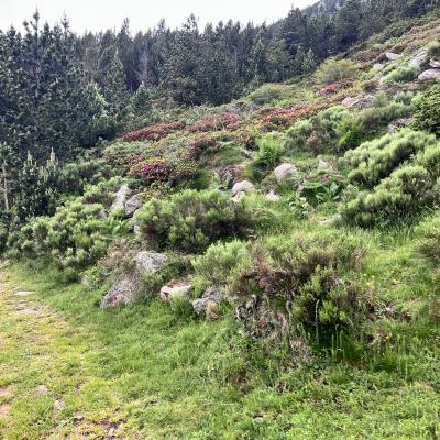 Occitanie Rando Randonnee Itinerante Tour Du Canigou Et Vallespir 252